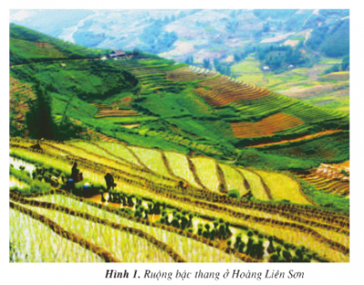 ĐỊA LÍ 4 - HOẠT ĐỘNG SẢN XUẤT CỦA NGƯỜI DÂN Ở HOÀNG LIÊN SƠN