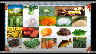 KHOA HỌC 4 - VAI TRÒ CỦA CHẤT ĐẠM, CHẤT BÉO, VITAMIN, CHẤT KHOÁNG VÀ CHẤT XƠ