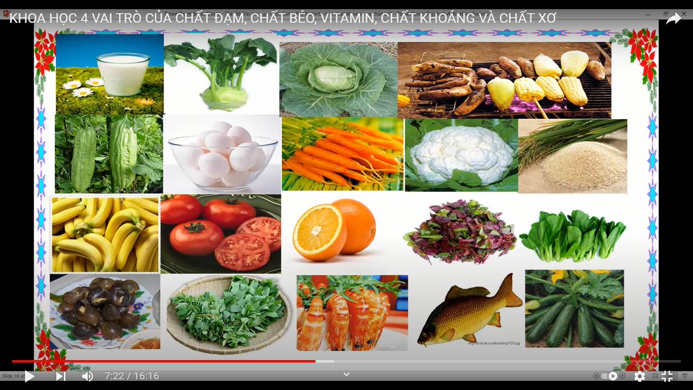 KHOA HỌC 4 - VAI TRÒ CỦA CHẤT ĐẠM, CHẤT BÉO, VITAMIN, CHẤT KHOÁNG VÀ CHẤT XƠ