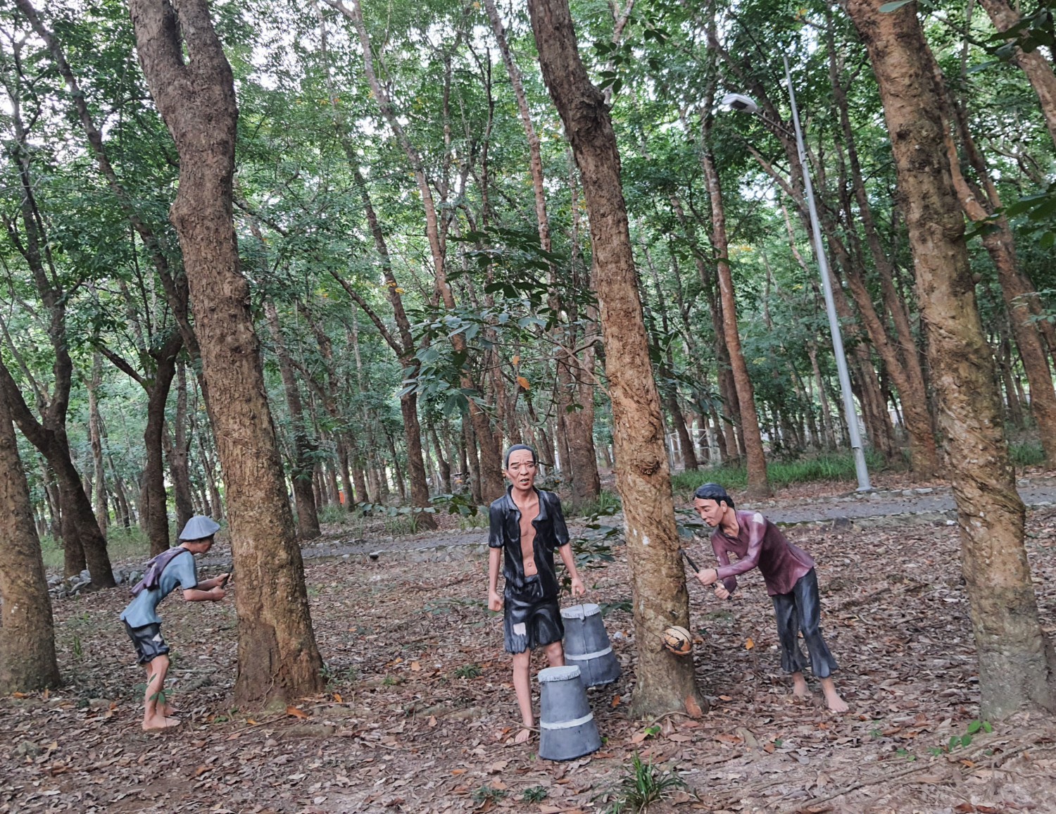 Hình 5 Hình ảnh tái hiện cảnh phu cao su làm việc thời Pháp